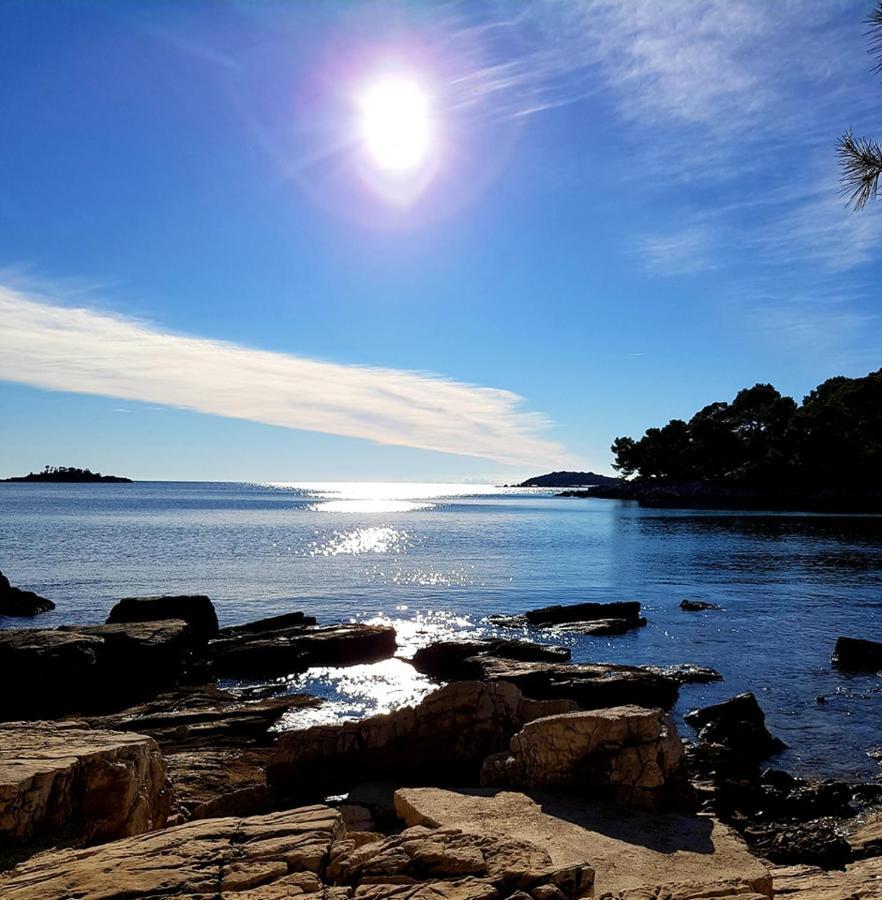Martin * Rovinj