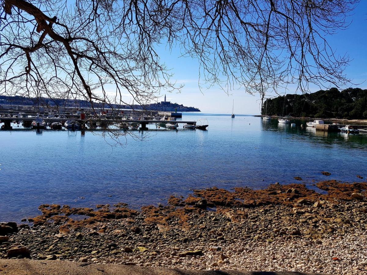 Martin Rovinj